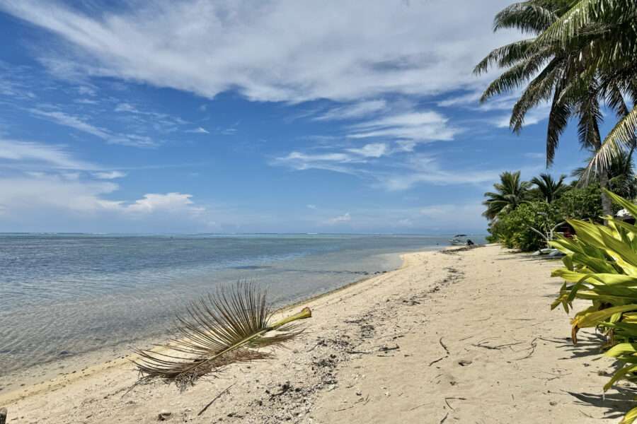 PLAGE e